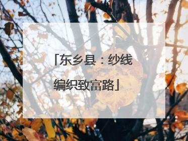 东乡县：纱线编织致富路