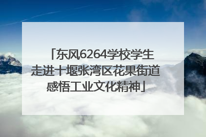 东风6264学校学生走进十堰张湾区花果街道感悟工业文化精神