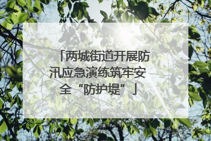 两城街道开展防汛应急演练筑牢安全“防护堤”