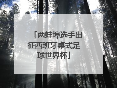 两蚌埠选手出征西班牙桌式足球世界杯