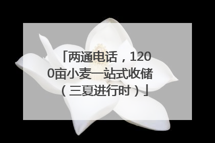 两通电话，1200亩小麦一站式收储（三夏进行时）