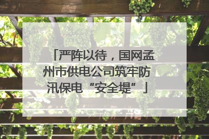 严阵以待，国网孟州市供电公司筑牢防汛保电“安全堤”