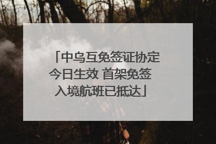 中乌互免签证协定今日生效 首架免签入境航班已抵达