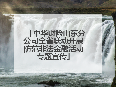 中华财险山东分公司全省联动开展防范非法金融活动专题宣传