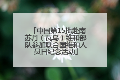 中国第15批赴南苏丹（瓦乌）维和部队参加联合国维和人员日纪念活动