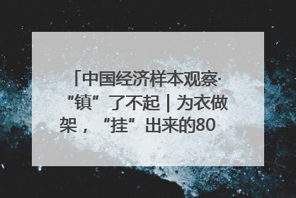 中国经济样本观察·“镇”了不起｜为衣做架，“挂”出来的80亿元“衣架产业”