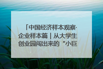 中国经济样本观察·企业样本篇｜从大学生创业园闯出来的“小巨人”——卡诺普机器人的逐梦历程