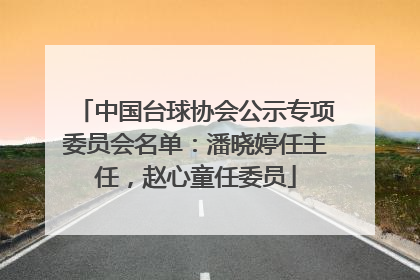 中国台球协会公示专项委员会名单：潘晓婷任主任，赵心童任委员