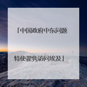 中国政府中东问题特使翟隽访问埃及