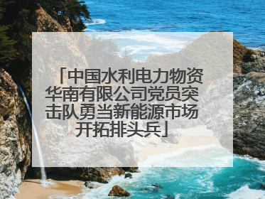 中国水利电力物资华南有限公司党员突击队勇当新能源市场开拓排头兵