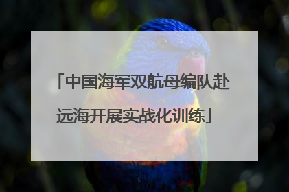中国海军双航母编队赴远海开展实战化训练