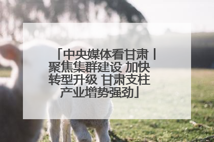 中央媒体看甘肃丨聚焦集群建设 加快转型升级 甘肃支柱产业增势强劲