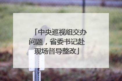 中央巡视组交办问题，省委书记赴现场督导整改