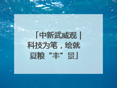 中新武威观｜科技为笔，绘就夏粮“丰”景