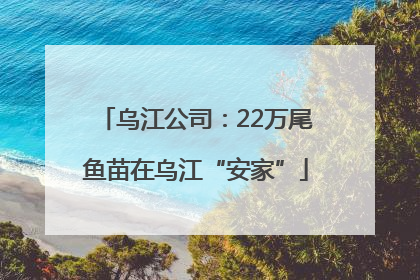乌江公司：22万尾鱼苗在乌江“安家”