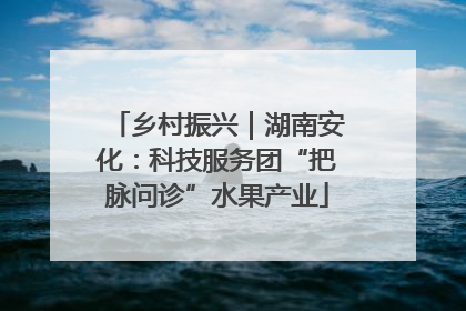 乡村振兴｜湖南安化：科技服务团“把脉问诊”水果产业