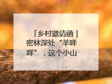 乡村邀请函｜密林深处“羊咩咩”，这个小山村如何逆袭？