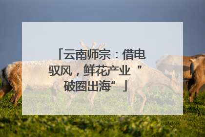 云南师宗：借电驭风，鲜花产业“破圈出海”