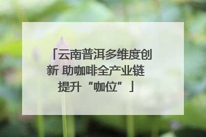 云南普洱多维度创新 助咖啡全产业链提升“咖位”
