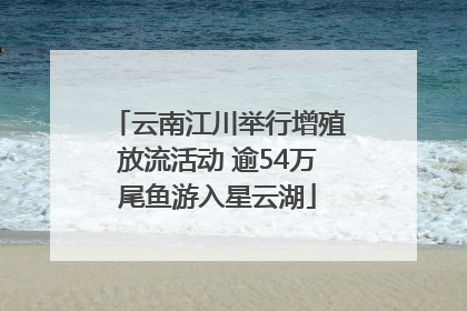 云南江川举行增殖放流活动 逾54万尾鱼游入星云湖