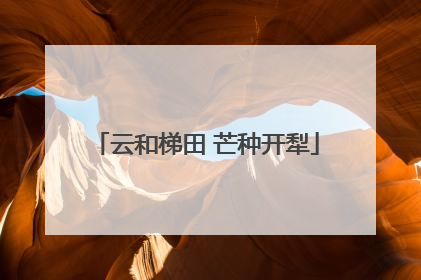 云和梯田 芒种开犁