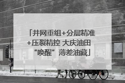 井网重组+分层精准+压裂精控 大庆油田“唤醒”薄差油藏