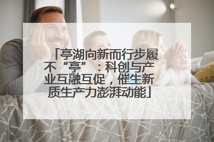 亭湖向新而行步履不“亭”：科创与产业互融互促，催生新质生产力澎湃动能
