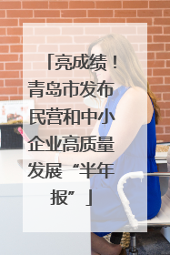 亮成绩！青岛市发布民营和中小企业高质量发展“半年报”