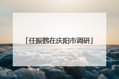 任振鹤在庆阳市调研