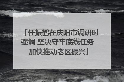 任振鹤在庆阳市调研时强调 坚决守牢底线任务 加快推动老区振兴