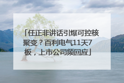 任正非讲话引爆可控核聚变？百利电气11天7板，上市公司频回应
