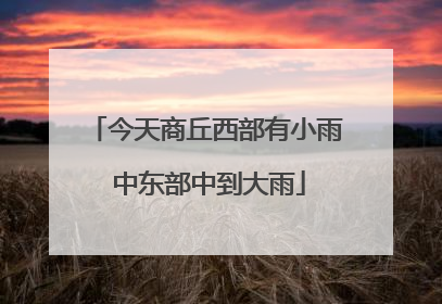 今天商丘西部有小雨 中东部中到大雨