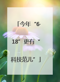 今年“6·18”更有“科技范儿”