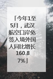 今年1至5月，武汉航空口岸免签入境外国人同比增长160.87%