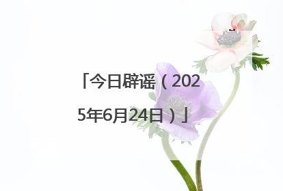 今日辟谣（2025年6月24日）