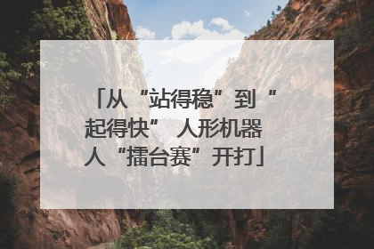 从“站得稳”到“起得快” 人形机器人“擂台赛”开打