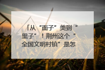 从“面子”美到“里子”！荆州这个“全国文明村镇”是怎样炼成的？