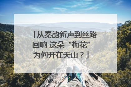 从秦韵新声到丝路回响 这朵“梅花”为何开在天山？