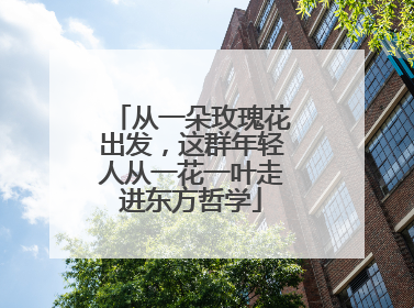 从一朵玫瑰花出发，这群年轻人从一花一叶走进东方哲学
