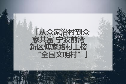 从众家治村到众家共富 宁波前湾新区傅家路村上榜“全国文明村”