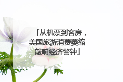 从机票到客房，美国旅游消费萎缩敲响经济警钟