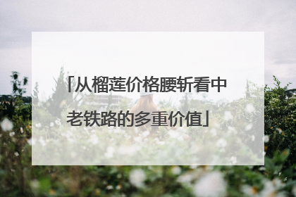 从榴莲价格腰斩看中老铁路的多重价值