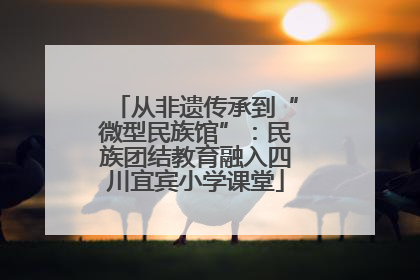 从非遗传承到“微型民族馆”：民族团结教育融入四川宜宾小学课堂
