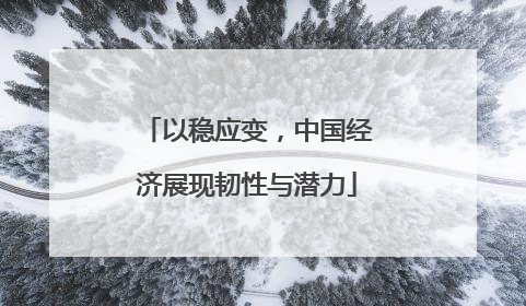 以稳应变，中国经济展现韧性与潜力