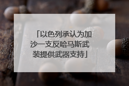 以色列承认为加沙一支反哈马斯武装提供武器支持
