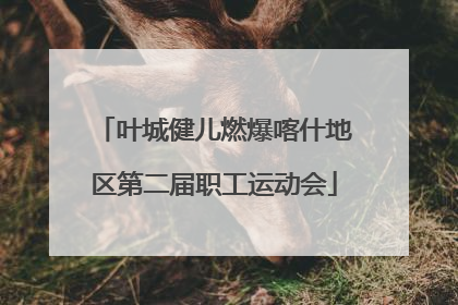 叶城健儿燃爆喀什地区第二届职工运动会