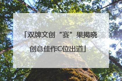 双牌文创“赛”果揭晓 创意佳作C位出道