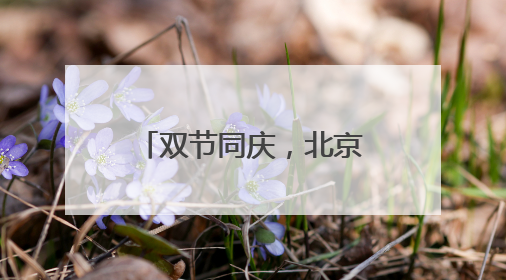 双节同庆，北京石景山游乐园科幻互动嗨翻天