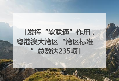发挥“软联通”作用，粤港澳大湾区“湾区标准”总数达235项