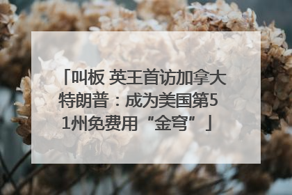叫板 英王首访加拿大 特朗普：成为美国第51州免费用“金穹”